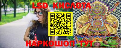 молекула духа Кандалакша