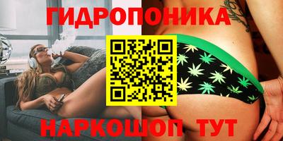 молекула духа Кандалакша
